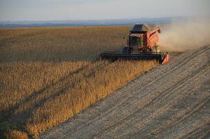 Harvesting